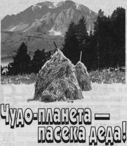 Чудо-планета - пасека деда! - i_001.png