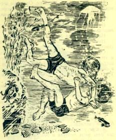 Дельфины - i_004.jpg