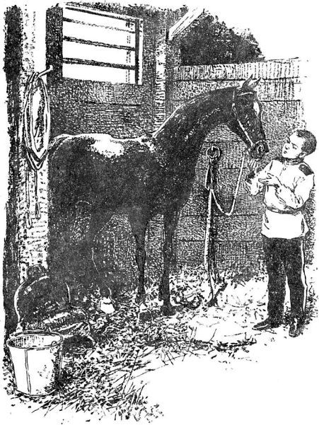 Суворовцы - i_004.jpg