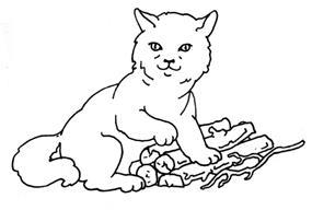 Пальчиковые игры и гимнастика для малышей - i_015.jpg