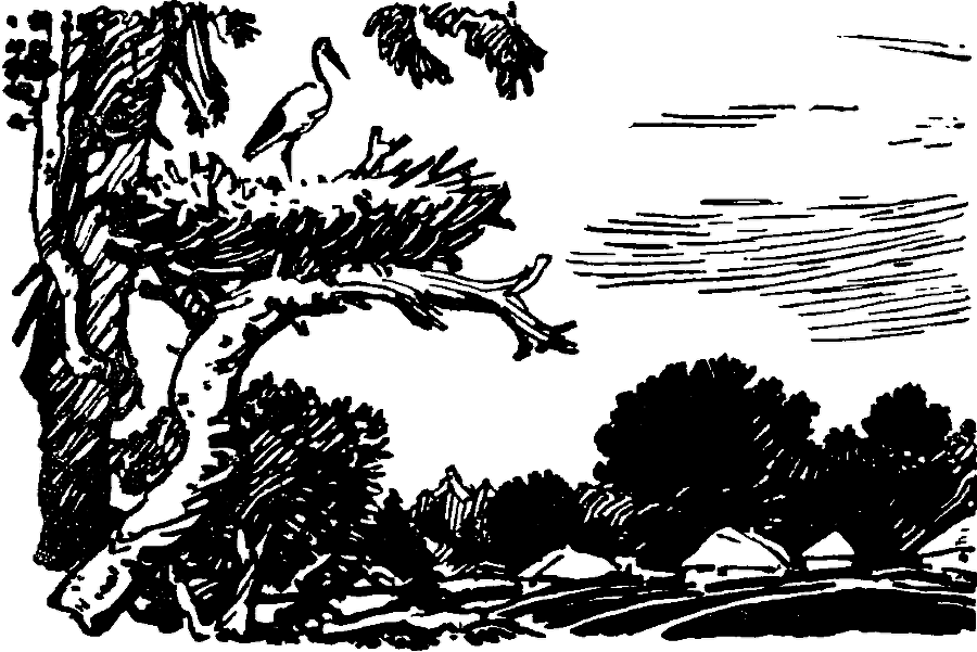 Родная сторона - i_008.png