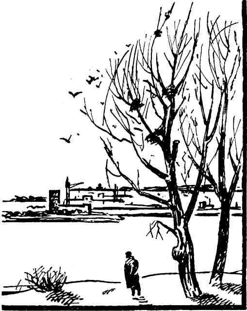 На вечерней заре - img_2.jpeg