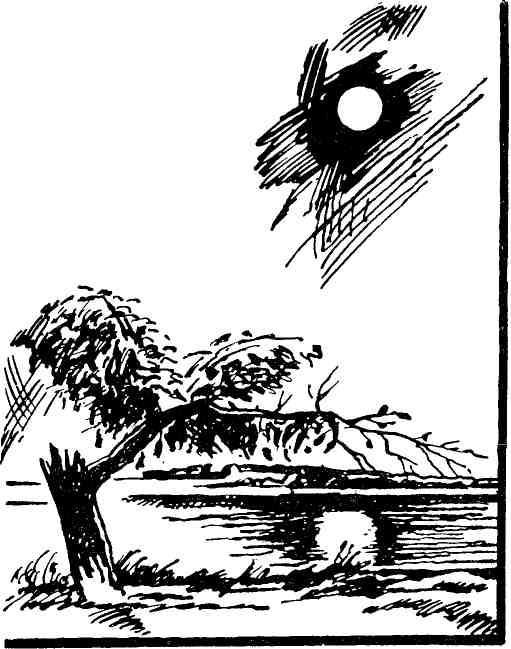 На вечерней заре - img_3.jpeg