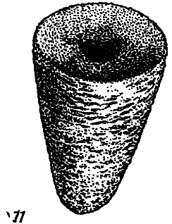 Что произошло 600 миллионов лет назад - i_011.png