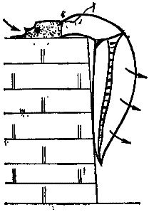 Что произошло 600 миллионов лет назад - i_027.png