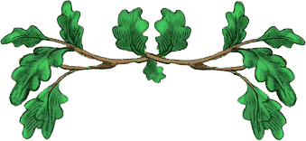 Сказки Изумрудного Леса - i_007.png