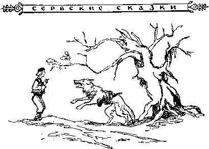 Славянские сказки - i_013.jpg