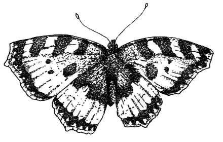 Походная книга муми-тролля - i_001.png