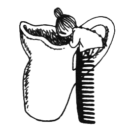 Походная книга муми-тролля - i_007.png