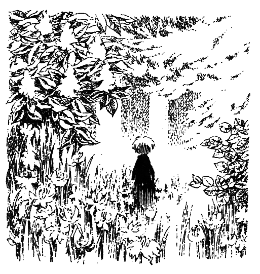 Походная книга муми-тролля - i_064.png