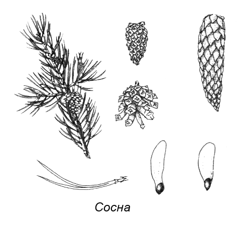 Походная книга муми-тролля - i_071.png