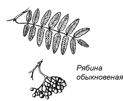 Походная книга муми-тролля - i_081.png