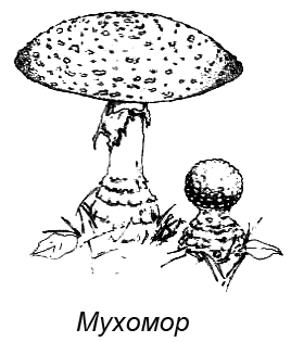 Походная книга муми-тролля - i_086.png