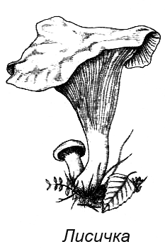 Походная книга муми-тролля - i_087.png