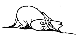 Походная книга муми-тролля - i_096.png