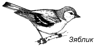 Походная книга муми-тролля - i_099.png