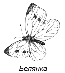 Походная книга муми-тролля - i_112.png