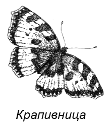 Походная книга муми-тролля - i_113.png