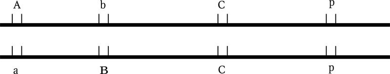 Поведение: эволюционный подход - _04.jpg