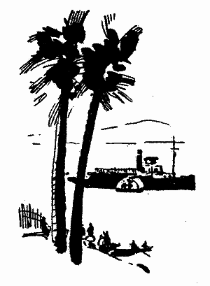 Діаманти Ківі-Ківі - i_003.png