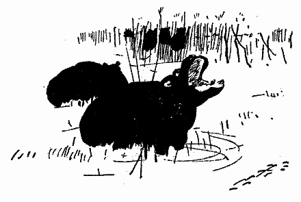 Діаманти Ківі-Ківі - i_016.png