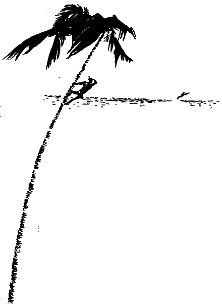 Серед дикунів Нової Гвінеї - im_004.png