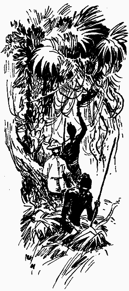 Серед дикунів Нової Гвінеї - im_008.png