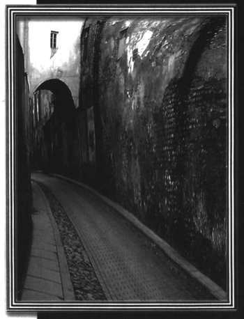 Собеседники на пиру. Литературоведческие работы - i_001.jpg