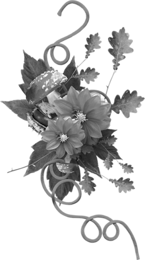 Ты неба милое творение - i_002.jpg