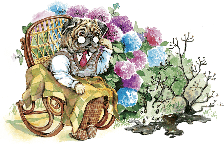 Амулет Добра - i_016.png