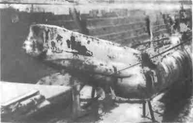 Служба особого назначения - i_007.jpg