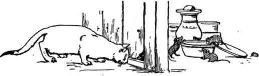 Тукъ-тукъ - i_015.jpg