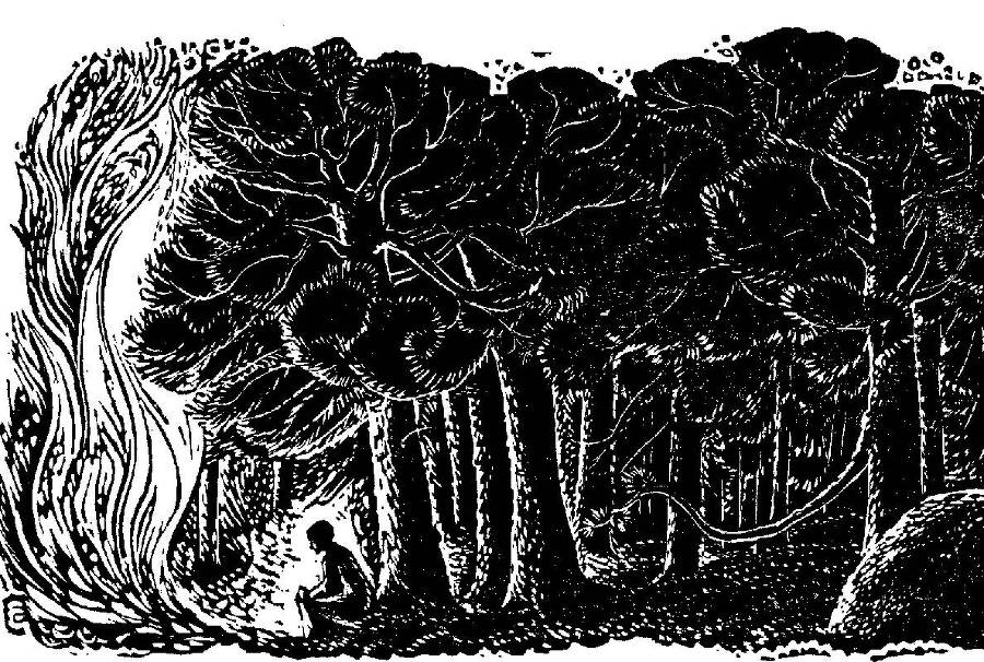 Осторожно - пума! - _2.jpg