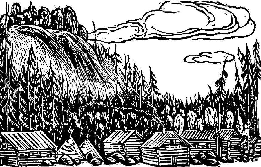 Осторожно - пума! - _31.jpg