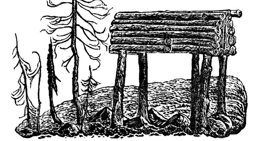 Осторожно - пума! - _6.jpg