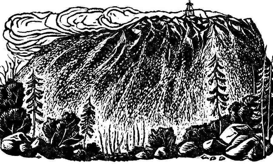 Осторожно - пума! - _3.jpg