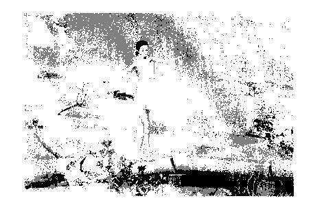 Мир культуры. Основы культурологии - _370.jpg