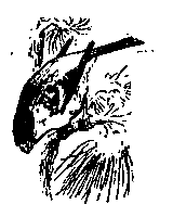 Рисунок на снегу - pic_4.png