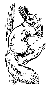 Рисунок на снегу - pic_5.png