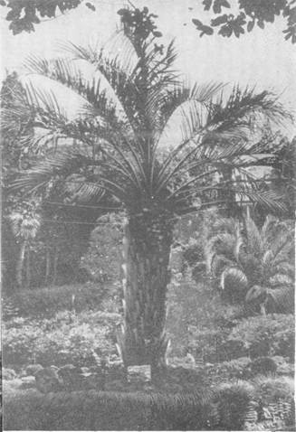 Одесса-Батуми - _33.jpg