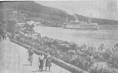 Южный берег Крыма - _4.jpg