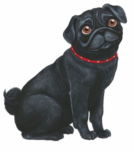 Волшебный эликсир - i_005.jpg