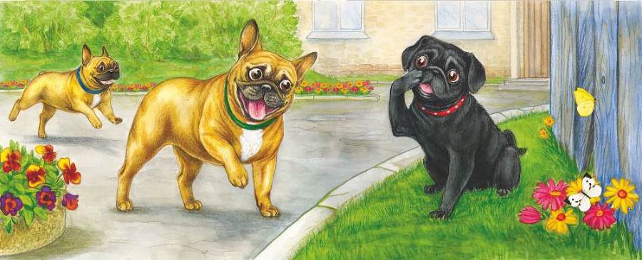 Волшебный эликсир - i_008.jpg