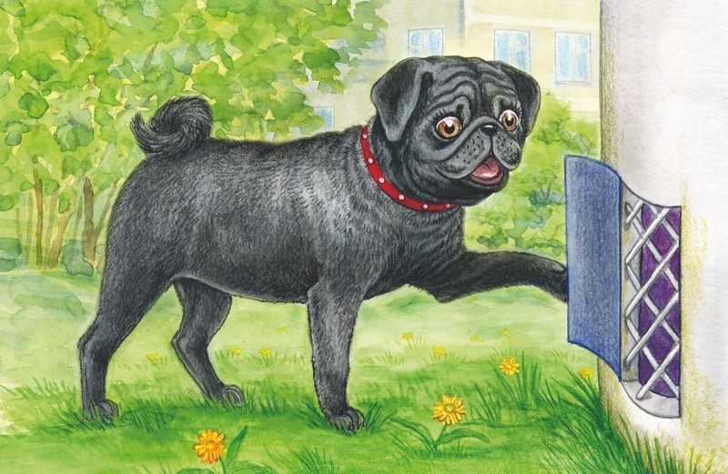 Волшебный эликсир - i_009.jpg