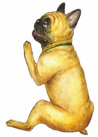 Волшебный эликсир - i_011.jpg