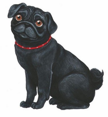 Волшебный эликсир - i_016.jpg