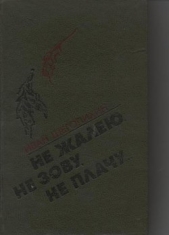 Не жалею, не зову, не плачу... - автор Щеголихин Иван Павлович 