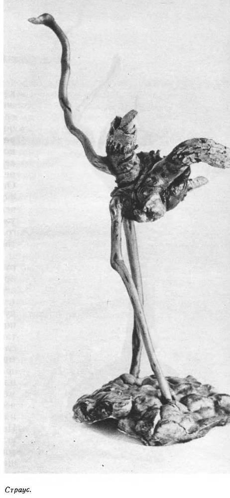 Лесные диковины - _29.jpg