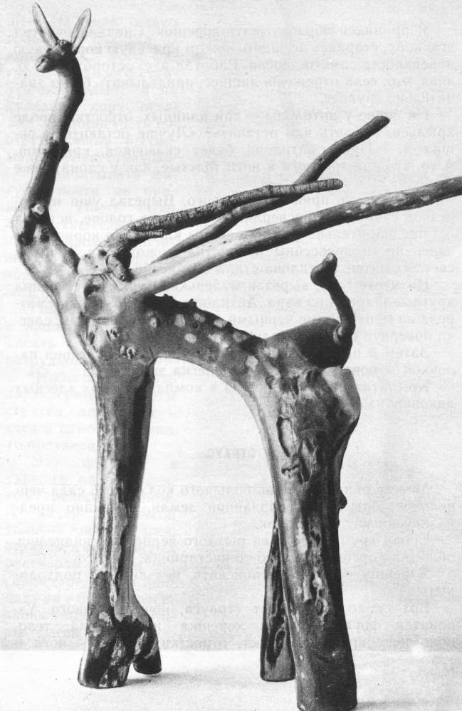 Лесные диковины - _28.jpg