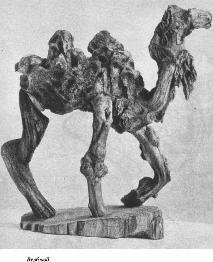 Лесные диковины - _36.jpg